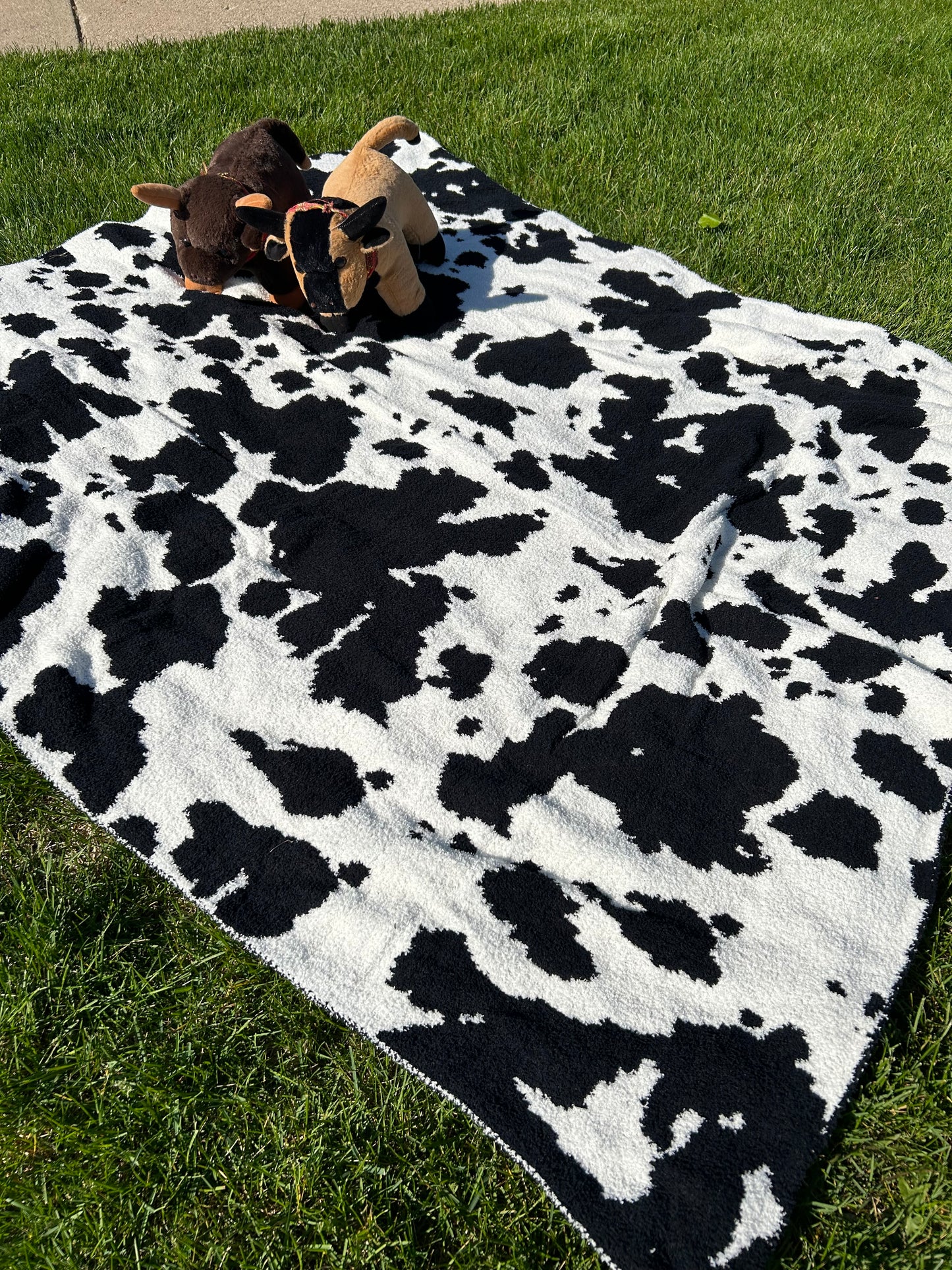 Black Cow Print Throw Blanket