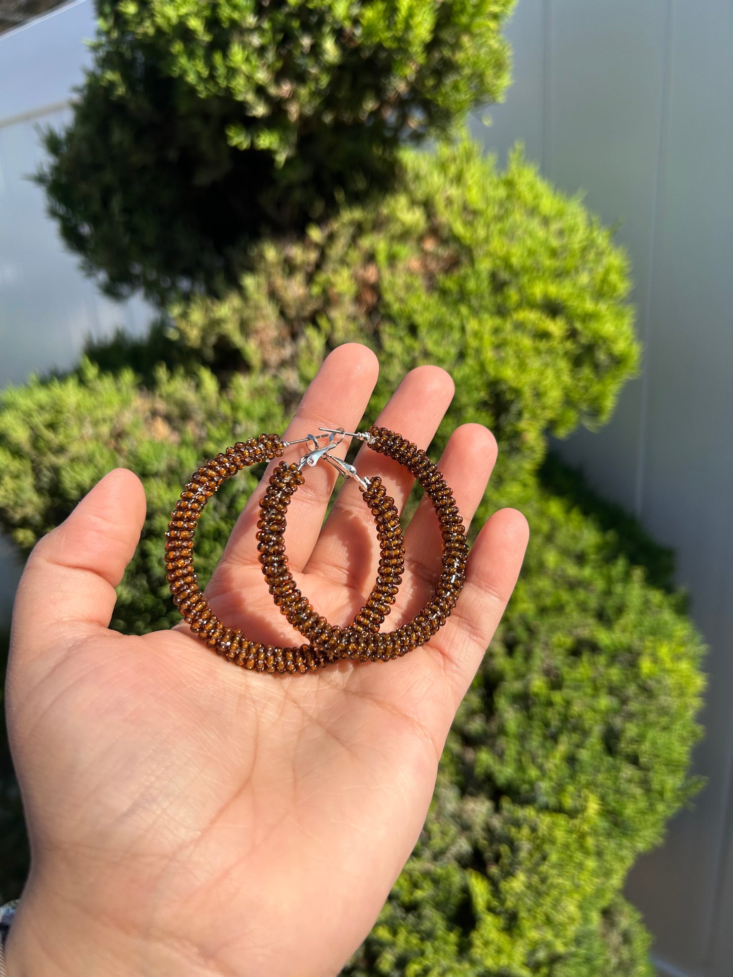 Brown Hoops