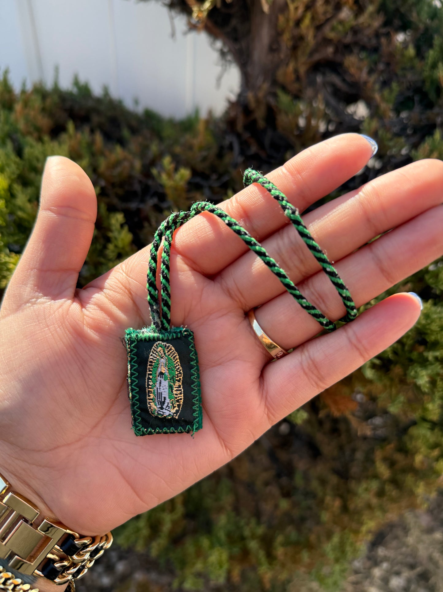 San Judas/ Virgen Escapulario