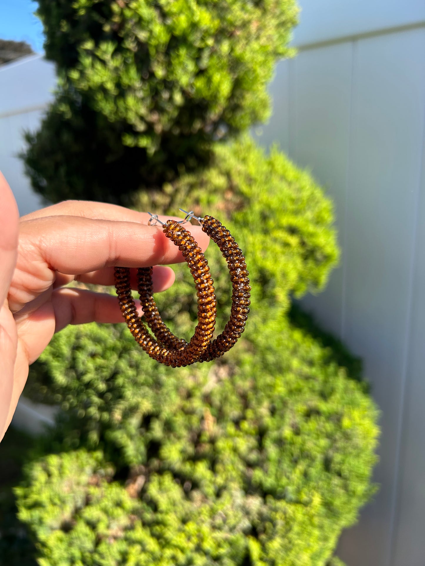 Brown Hoops