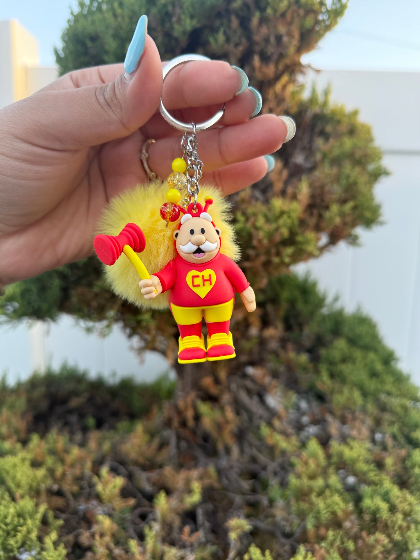 Dr Simi Keychains