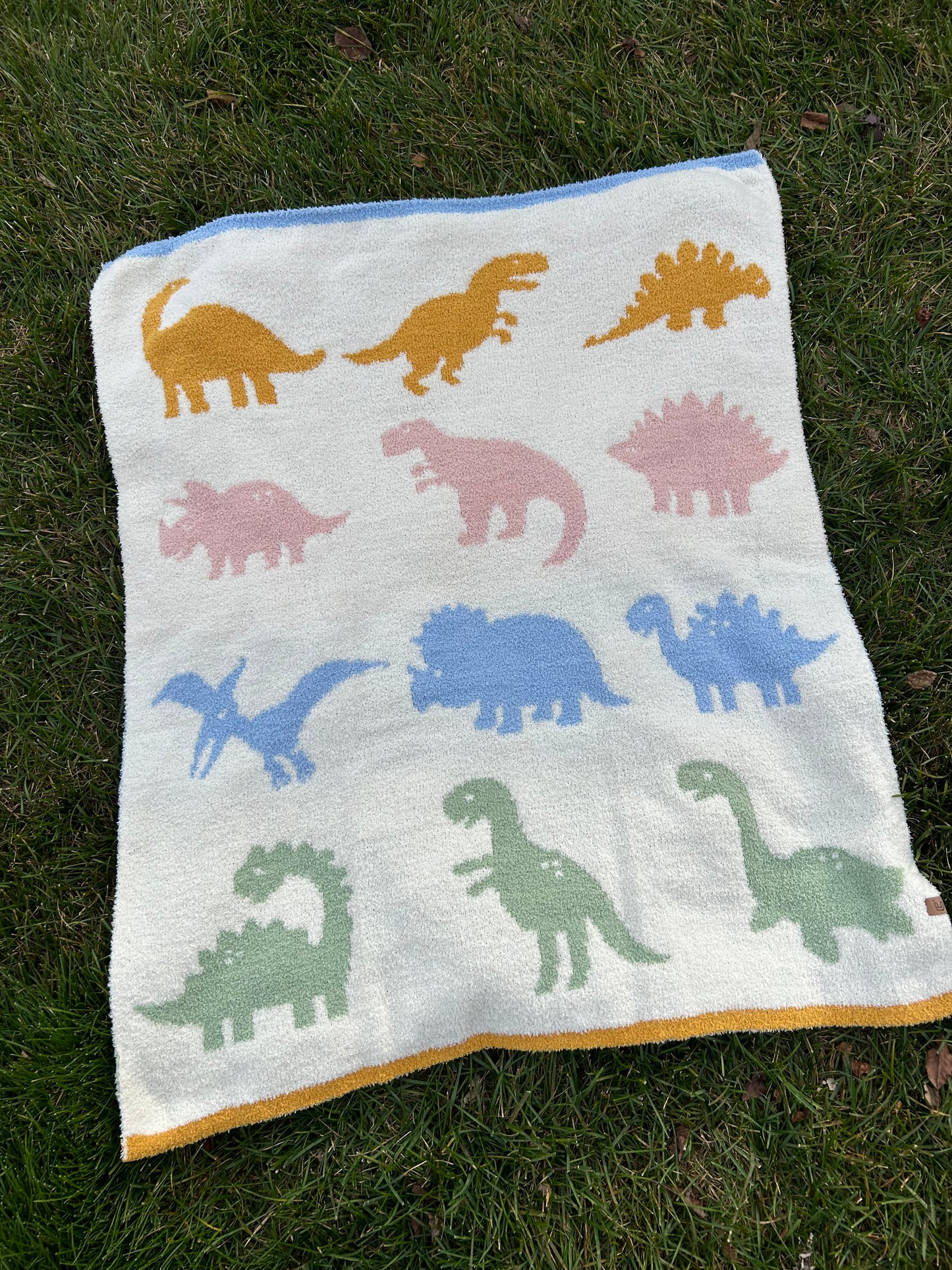 Baby/ Toddler Dinosaur Blanket