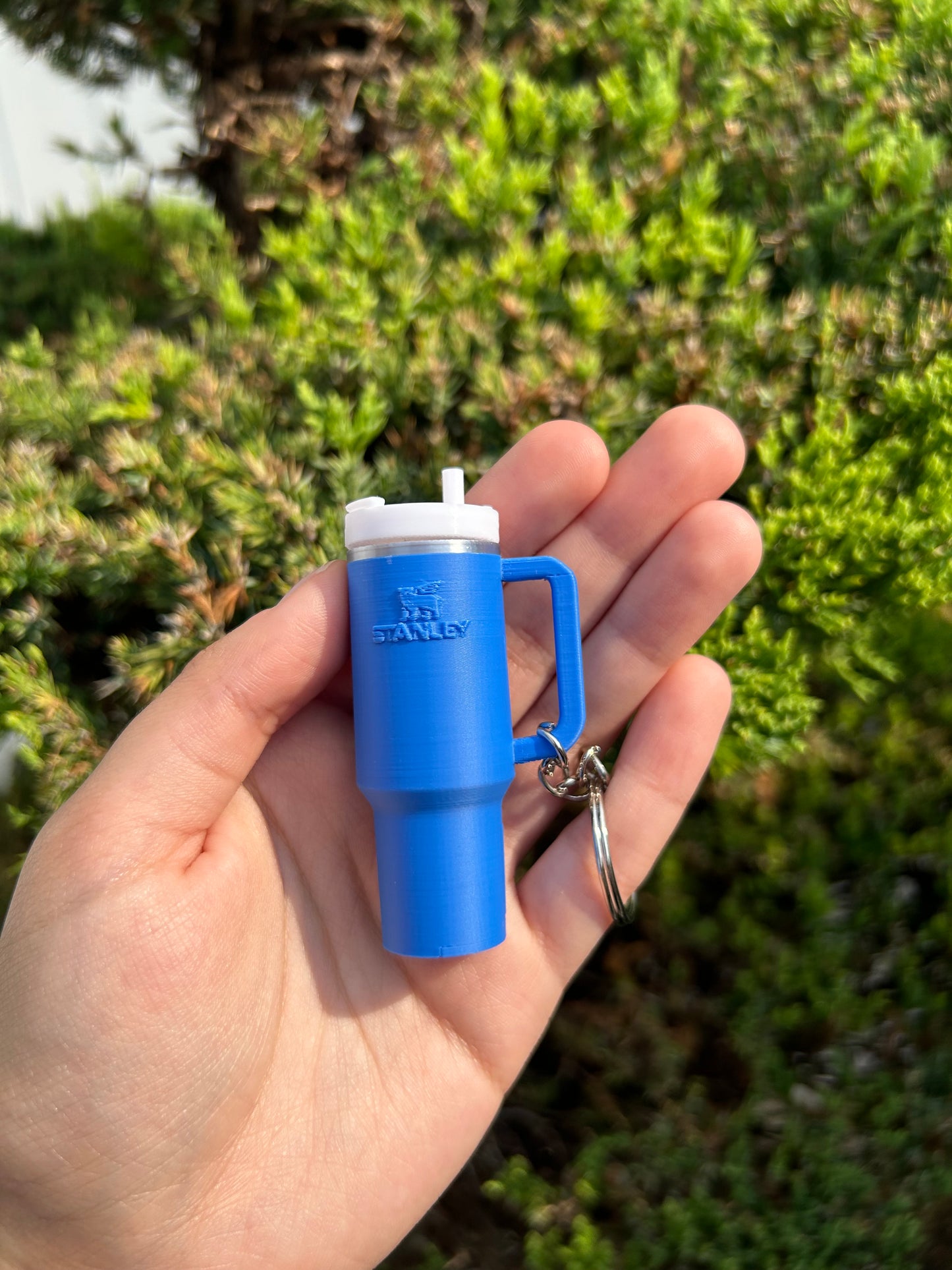 Vasito Keychains